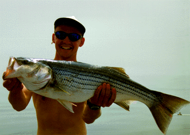 [color photograph of a rockfish]